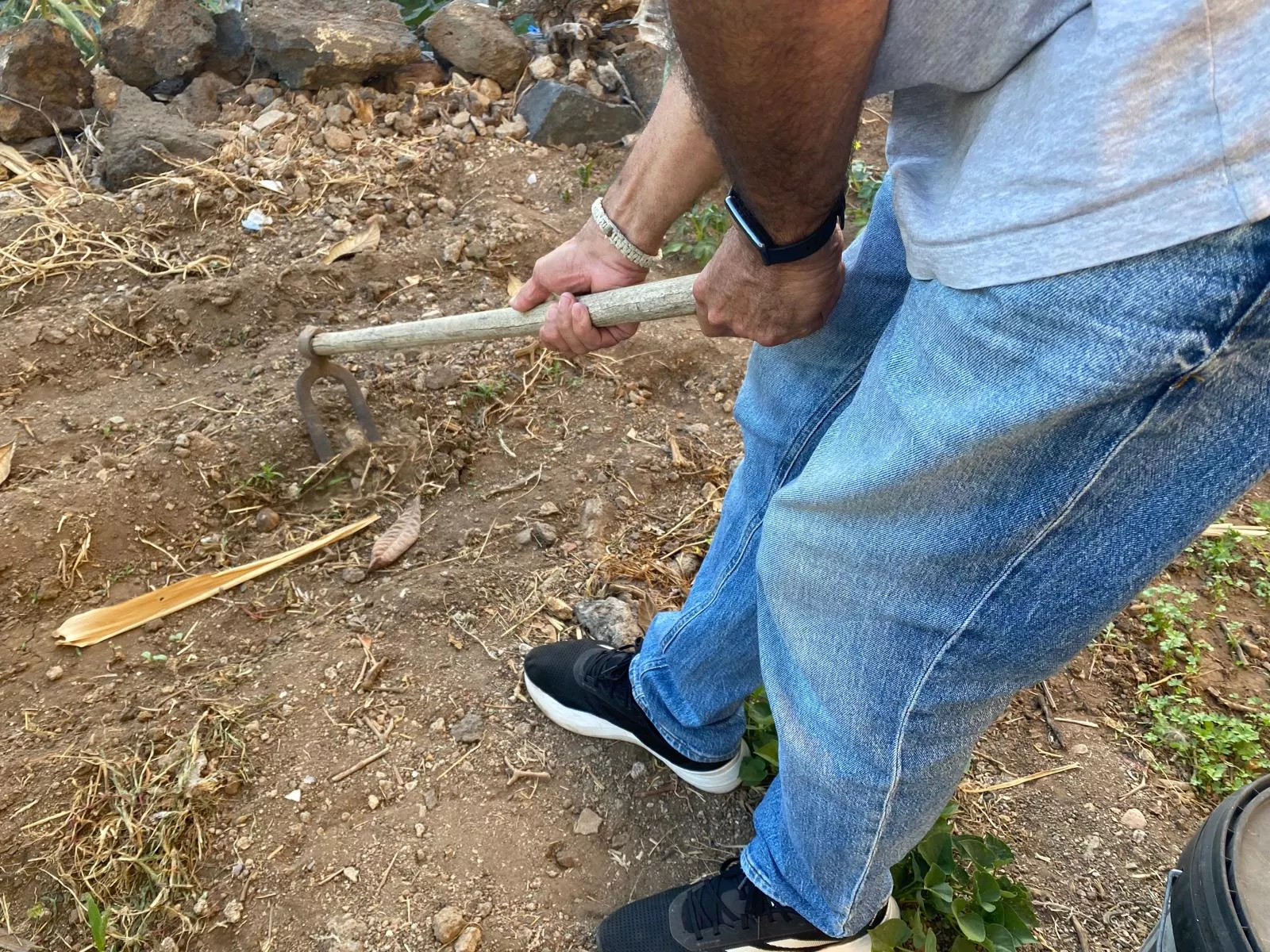 Una persona trabajando en el sector agrario en Canarias. / ATLÁNTICO HOY 