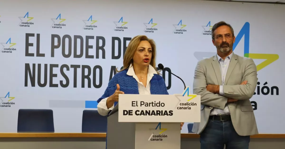 La diputada de Coalición Canaria, Cristina Valido, y el senador nacionalista Pedro San Ginés 