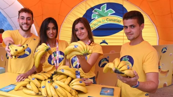 Diseño sin título