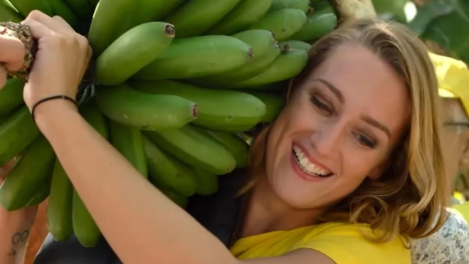 Diseño sin título