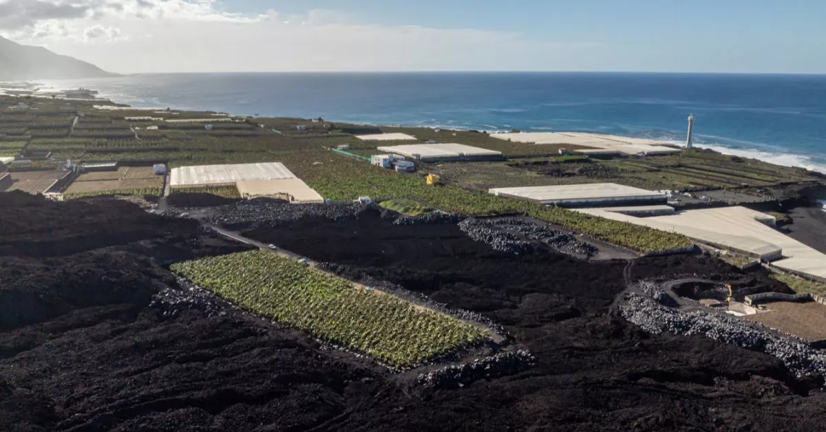 Finca Las Hoyas, en el medio de la colada en La Palma / CEDIDA