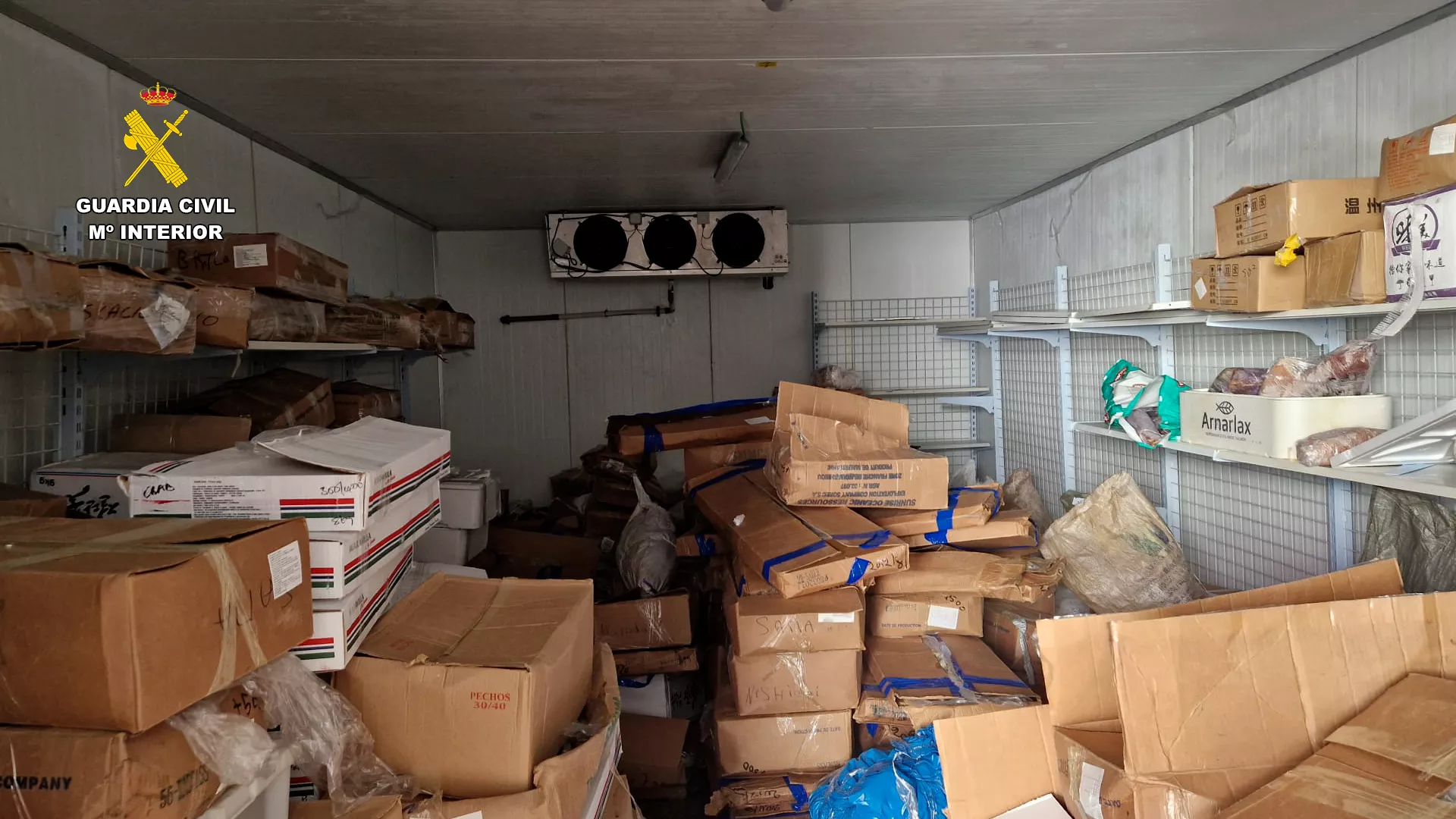 Cámara frigorífica del supermercado que el Seprona ha cerrado en Las Chafiras./ CEDIDA