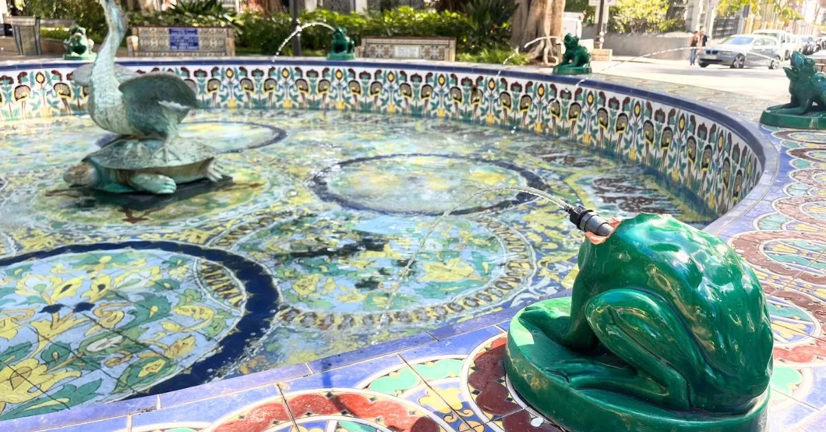 Rana con la cabeza reventada en la fuente de la plaza de Los Patos / AH / BELA CABRERA