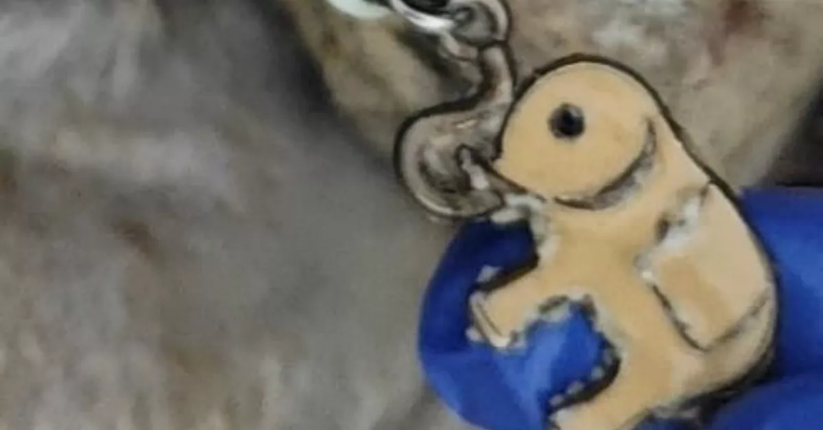 Colgante de elefante que portaba un cadáver hallado por la Guardia Civil en Gran Canaria./ CEDIDA