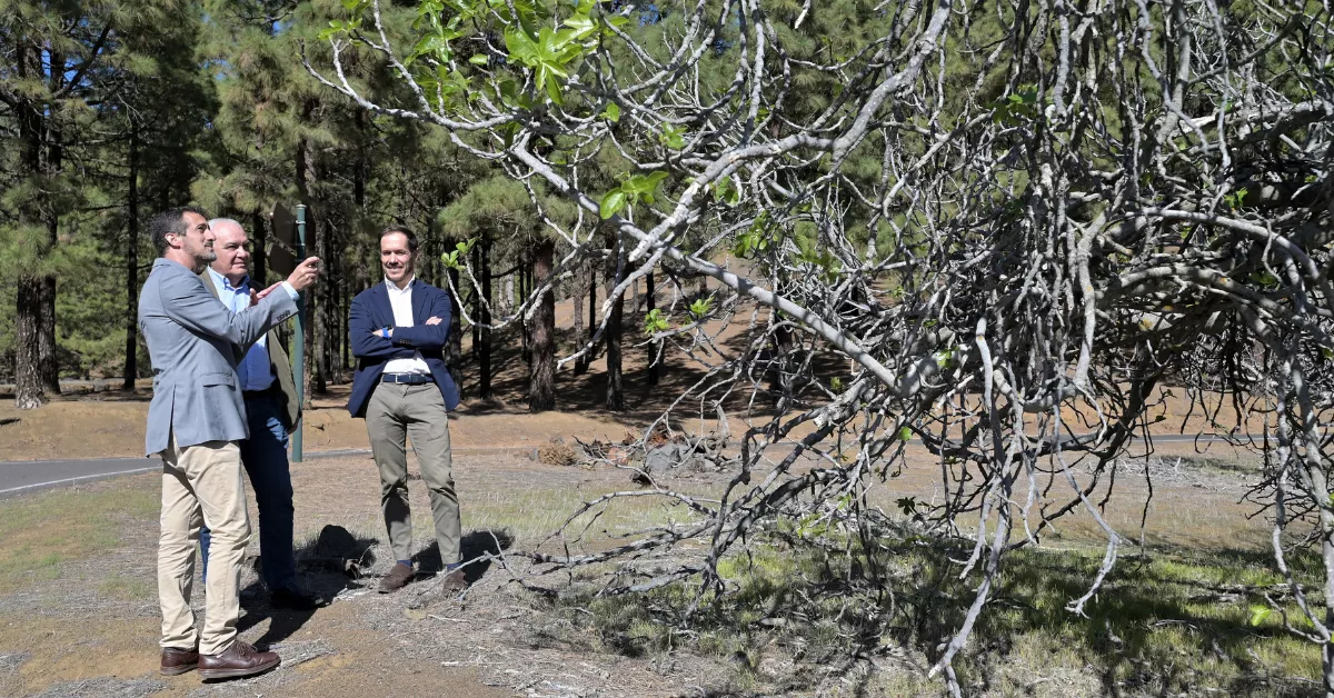 Presentación del plan estratégico que busca la recuperación y desarrollo de la higuera y el almendro en El Hierro / ACFI PRESS