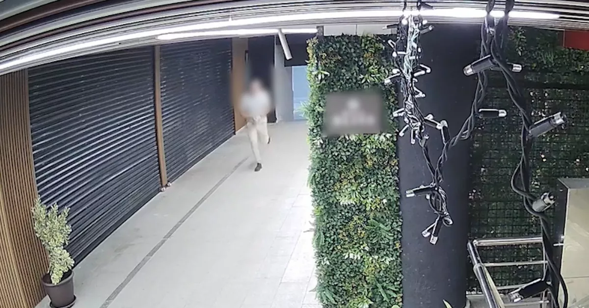 Imagen del autor del robo captada por las cámaras / GUARDIA CIVIL