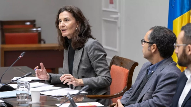 La directora de la Agencia Tributaria Canaria, Raquel Peligero Molina, durante su comparecencia en la comisión de investigación.MIGUEL BARRETO EFE (1)