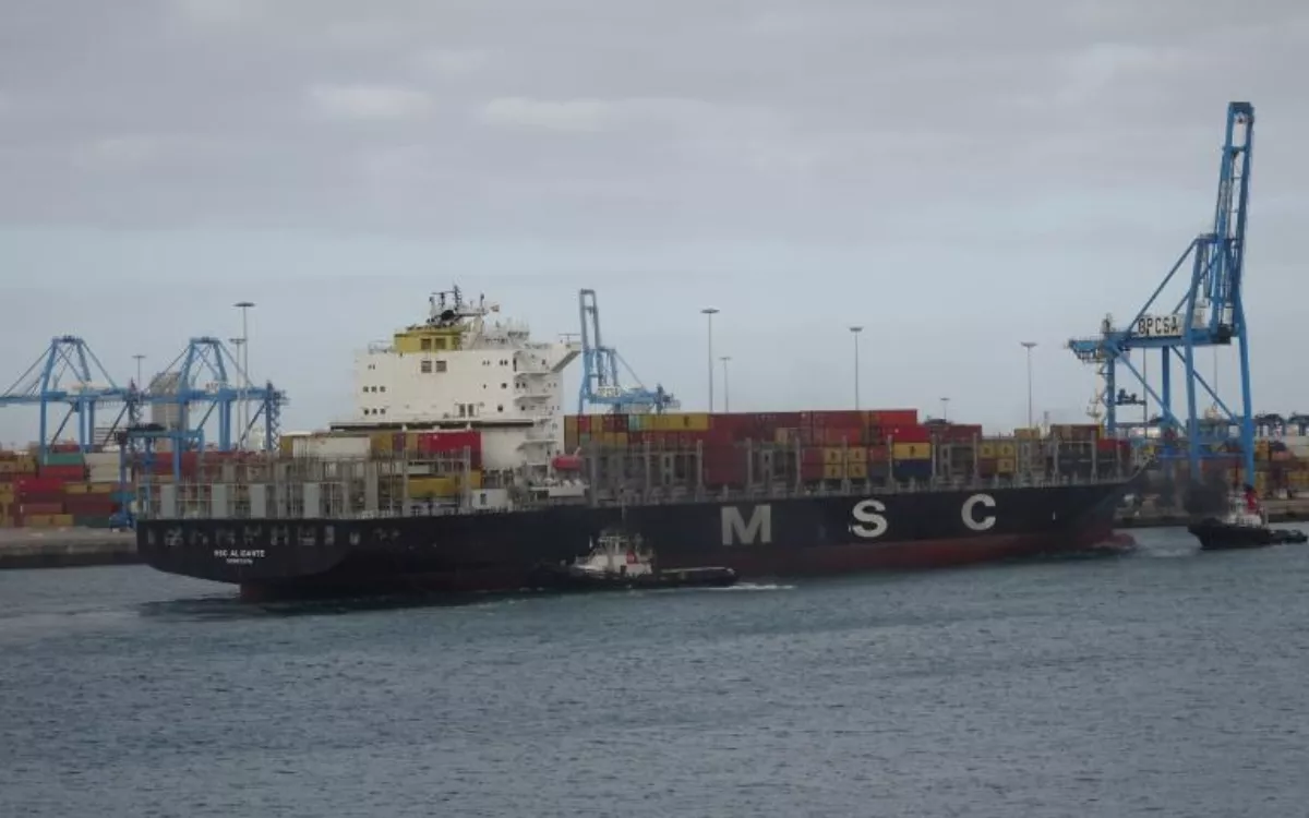 Dos polizones llegan al Puerto de Las Palmas tras lanzarse al mar desde el carguero 'MSC Alicante'. / AH