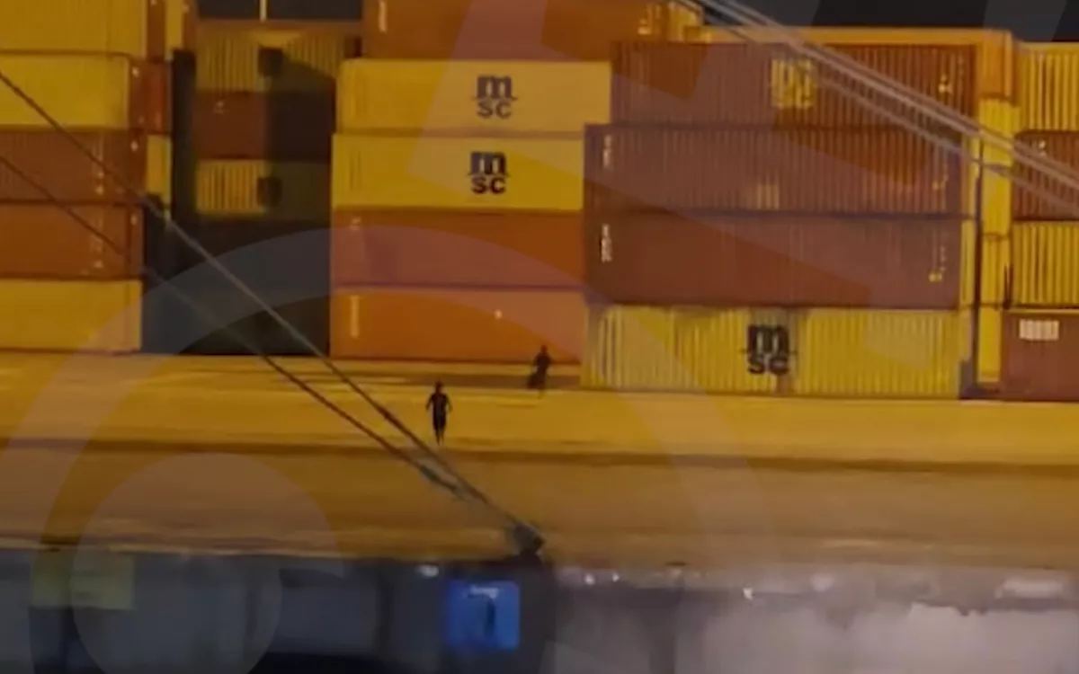 Este es el momento en el que dos polizones intentan colarse en el Puerto de Las Palmas. / AH