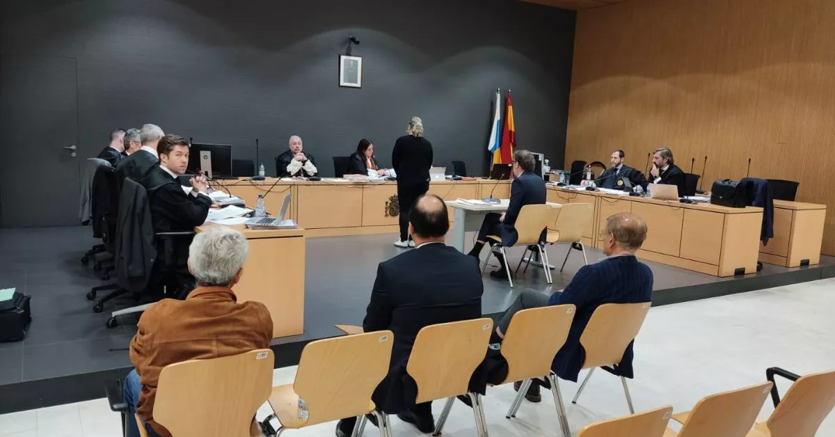 De espaldas, Manuel Santana Cazorla, Arturo Ramírez González y Manuel Fernández González, durante el juicio que se sigue contra ellos por administración desleal en el Grupo Anfi. / AH