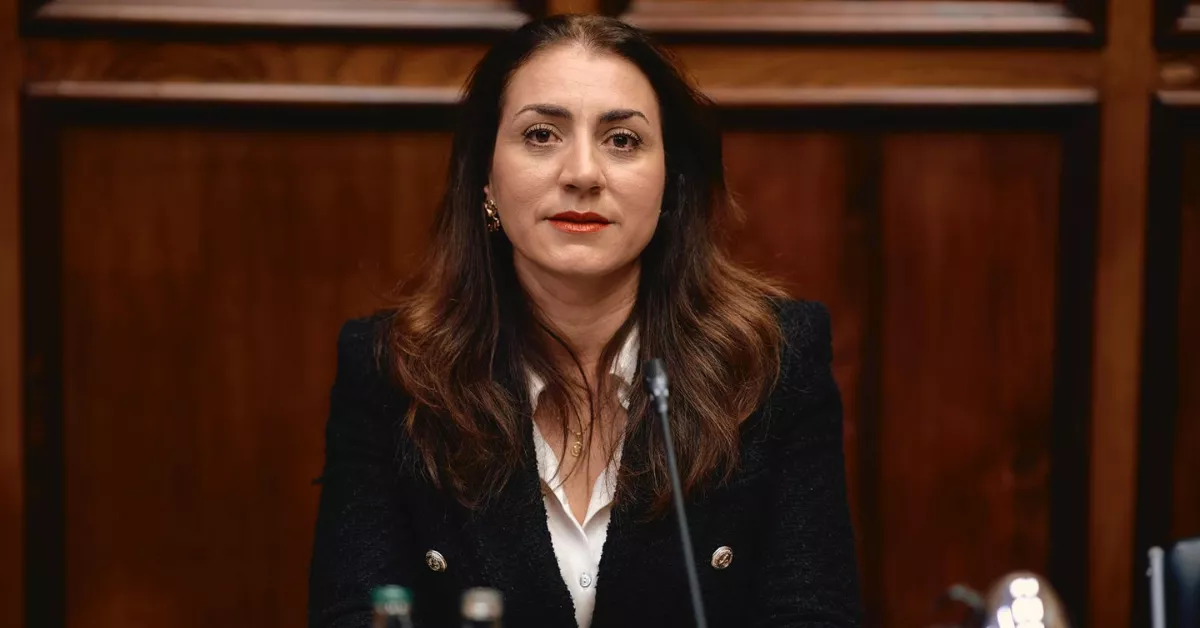 Vidina Cabrera, portavoz de Coalición Canaria (CC) en el Cabildo de Gran Canaria / CEDIDA Vidina Cabrera, portavoz de Coalición Canaria (CC) en el Cabildo de Gran Canaria / CEDIDA