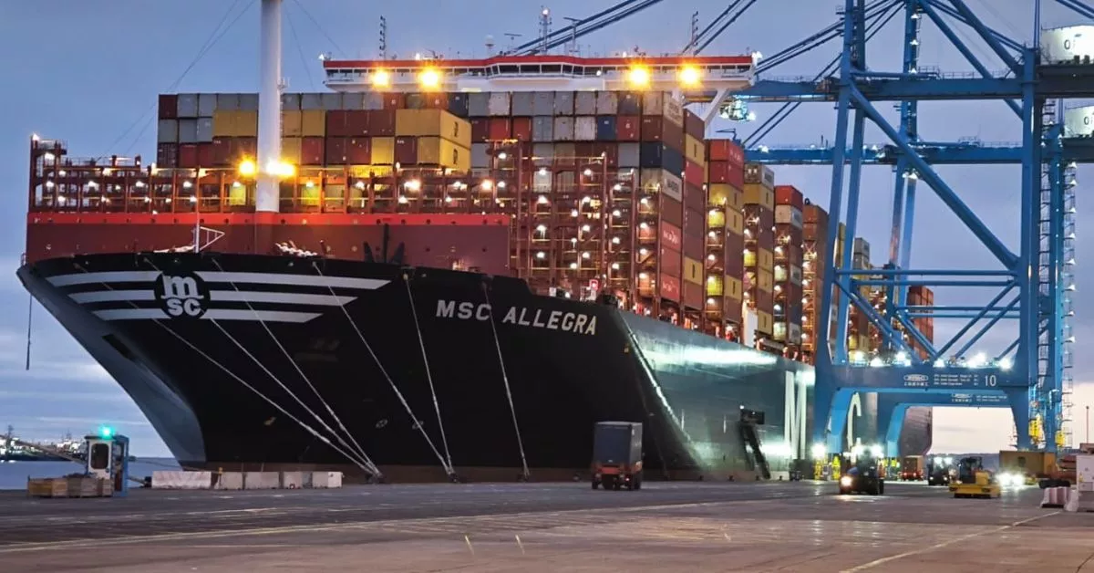 El buque 'MSC Allegra', uno de los más grandes del mundo, en plena operación de carga y descarga en el Puerto de Las Palmas. / AH