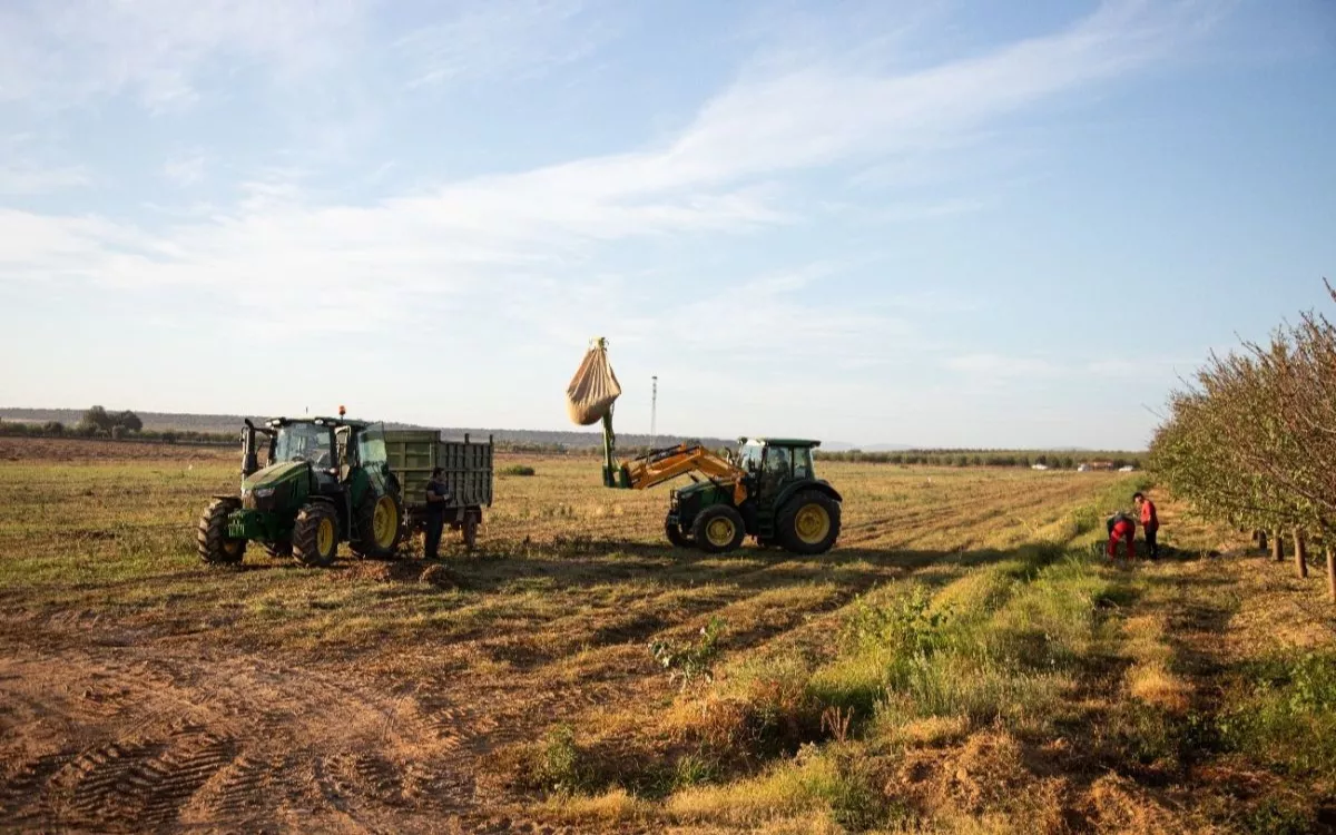 Campos de cultivo de tomate para Unilever en los campos del Grupo Conesa, en Extremadura. | UNILEVER