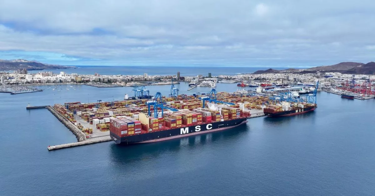 El 'MSC Allegra', en la terminal de Opcsa, con el puerto y la ciudad de Las Palmas de Gran Canaria al fondo. / AH