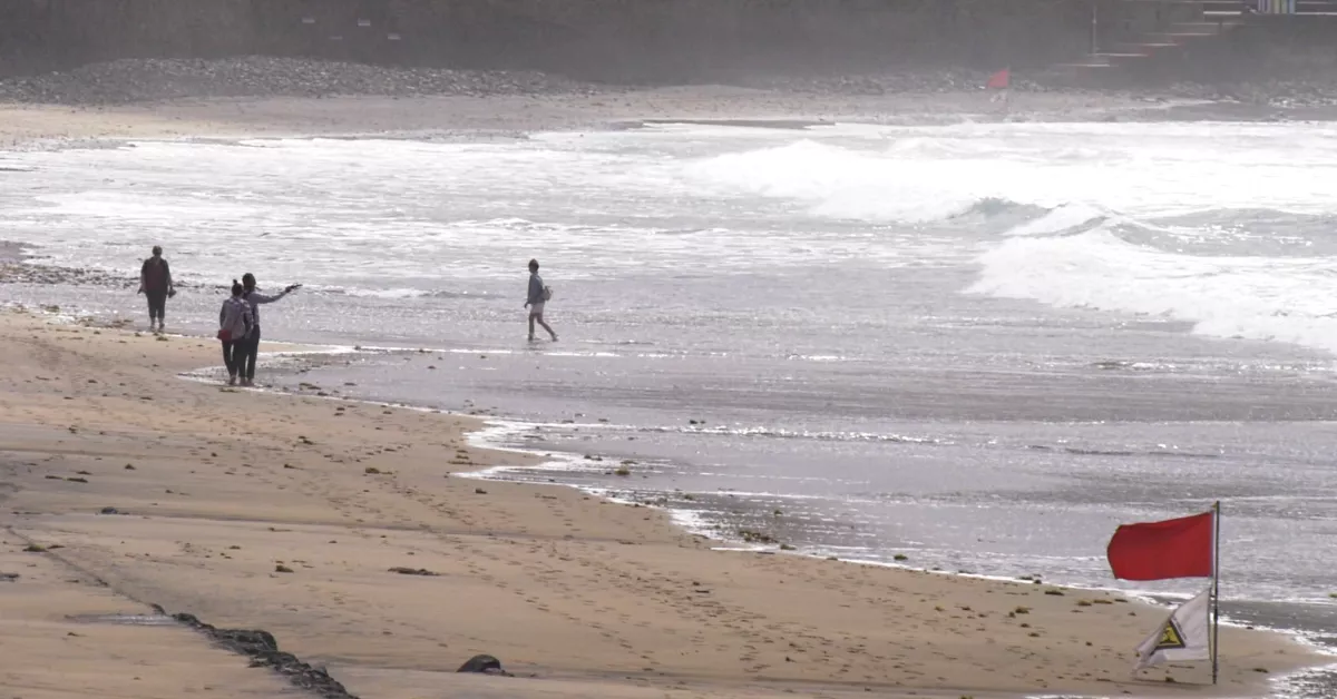 Imagen de una playa de Canarias  / CEDIDA