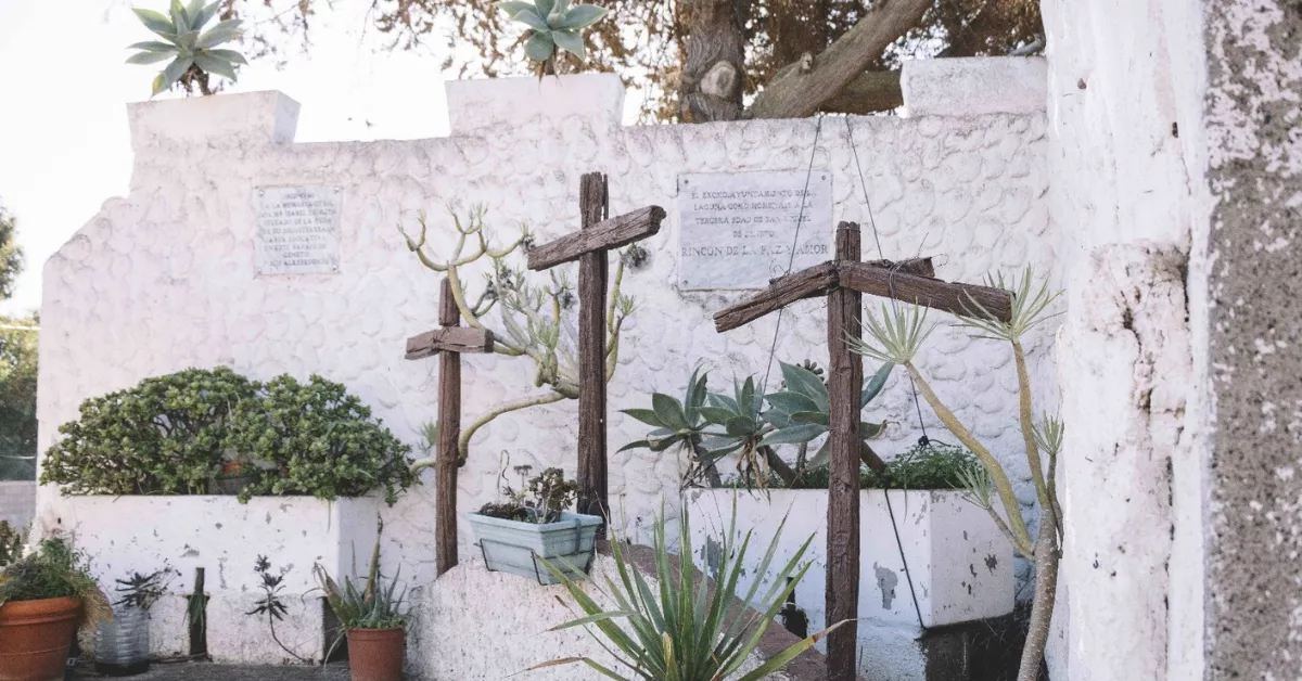 Imagen de Calvario Las Cruces / AYUNTAMIENTO DE LA LAGUNA 