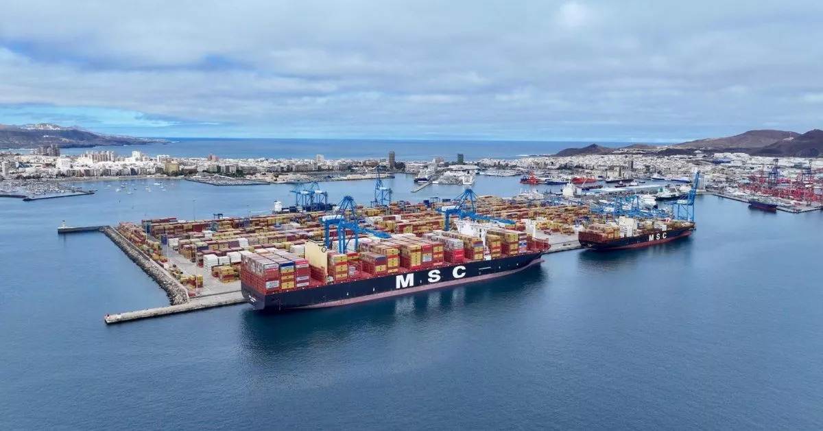 El 'MSC Allegra', en el muelle Cristóbal Colón, primer buque de 24.000 TEU que atraca en el Puerto de Las Palmas, con la terminal de Opcsa y la ciudad al fondo. / AH