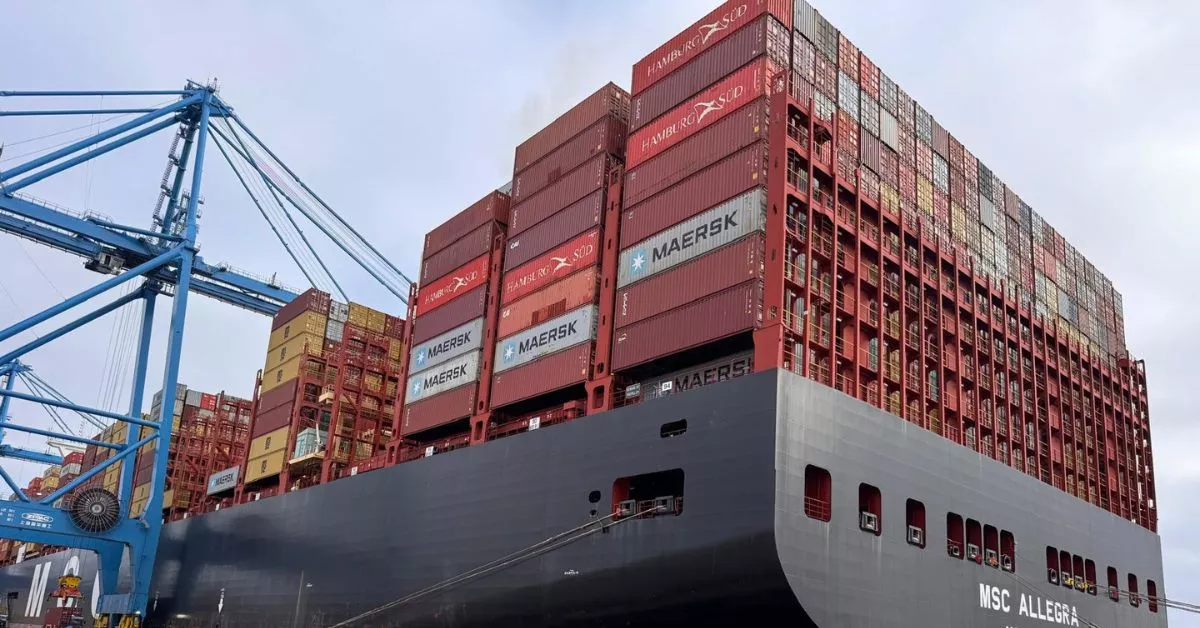 Detalle de la operación de estiba del 'MSC Allegra' realizada en el puerto de Las Palmas. / AH