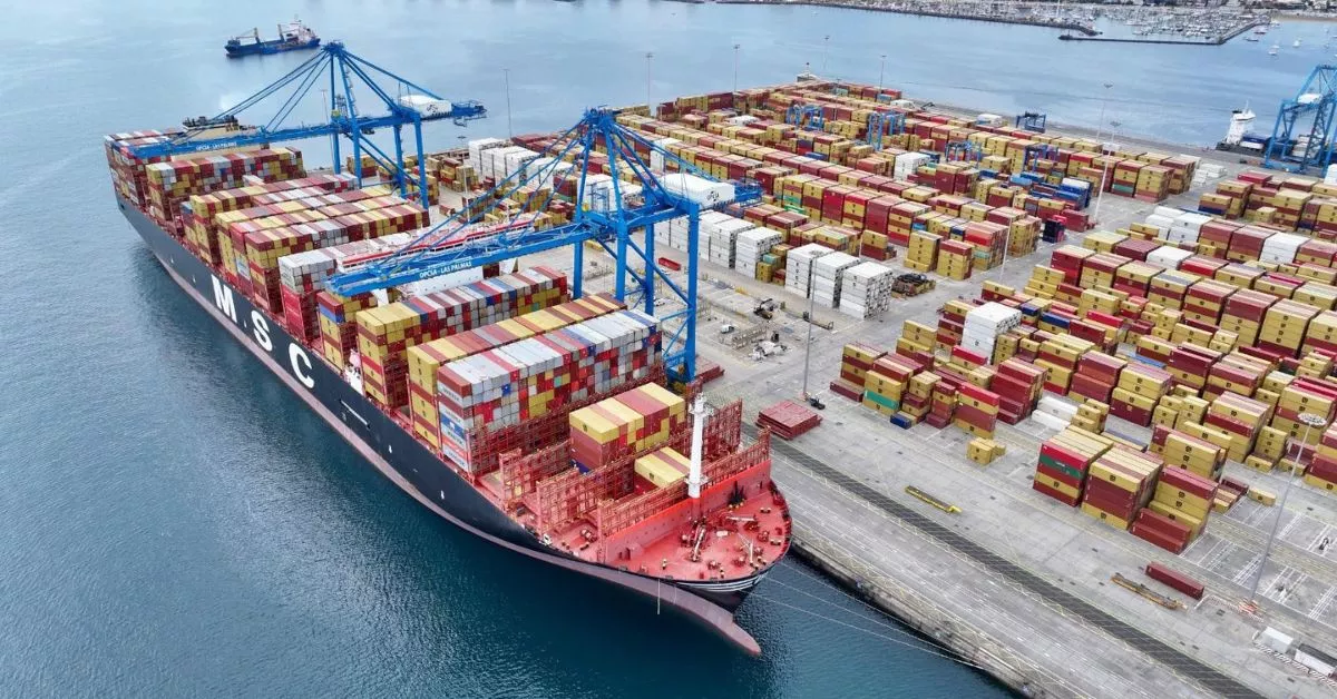 El buque 'MSC Allegra' en  plena operación de carga y descarga de contenedores en la terminal de Opcsa. / AH