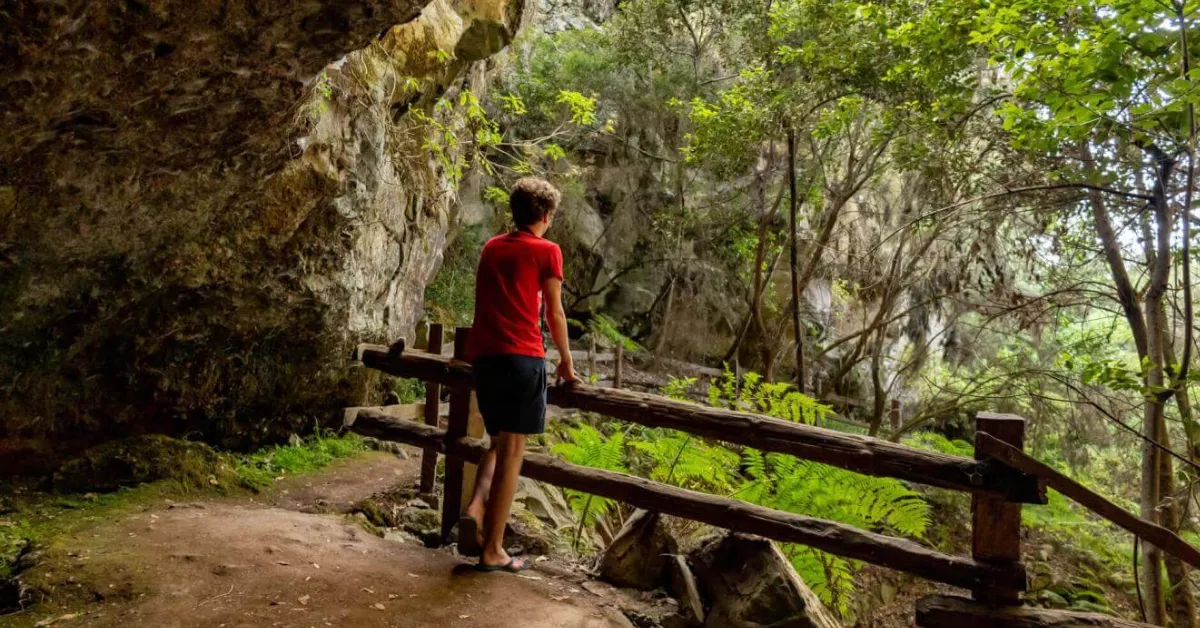 Imagen de una persona en el bosque / HOLA ISLAS CANARIAS 