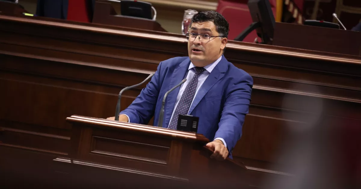 Miguel Ángel Pérez del Pino en el Parlamento de Canarias / PSOE DE GRAN CANARIA