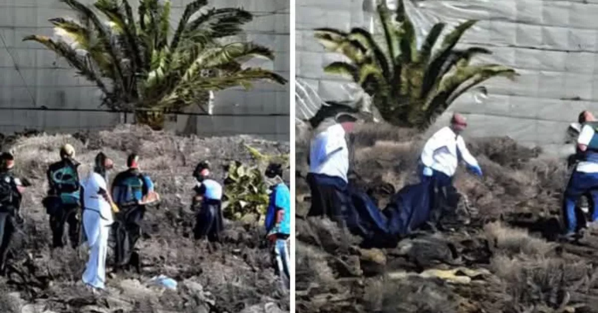 Levantamiento del cadáver por los Cuerpos de Seguridad. / GRUPO DE FACEBOOK EL MÉDANO