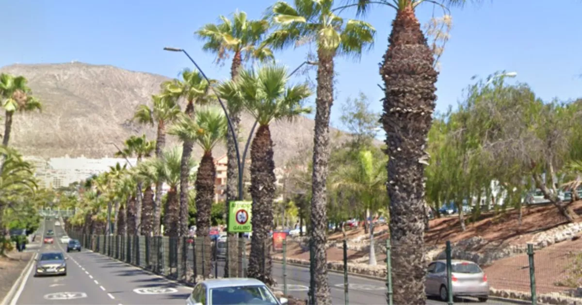 Avenida de Chayofita en Arona donde fue atropellada la niña. / GOOGLE