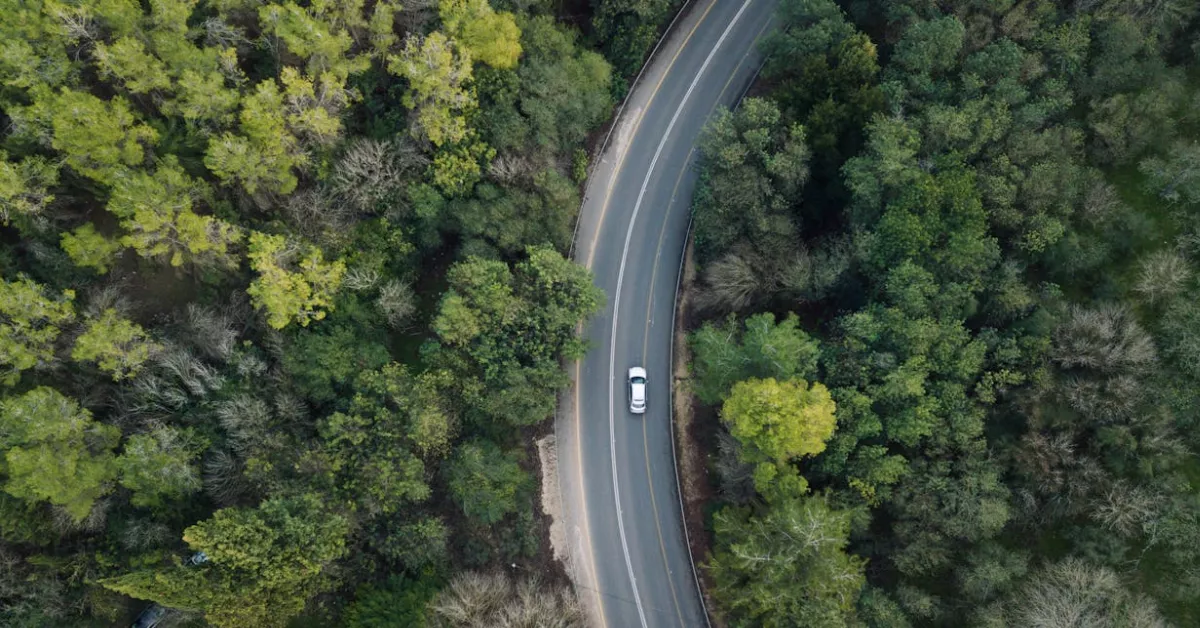 Imagen de una carretera en medio de la naturaleza / PEXELS 