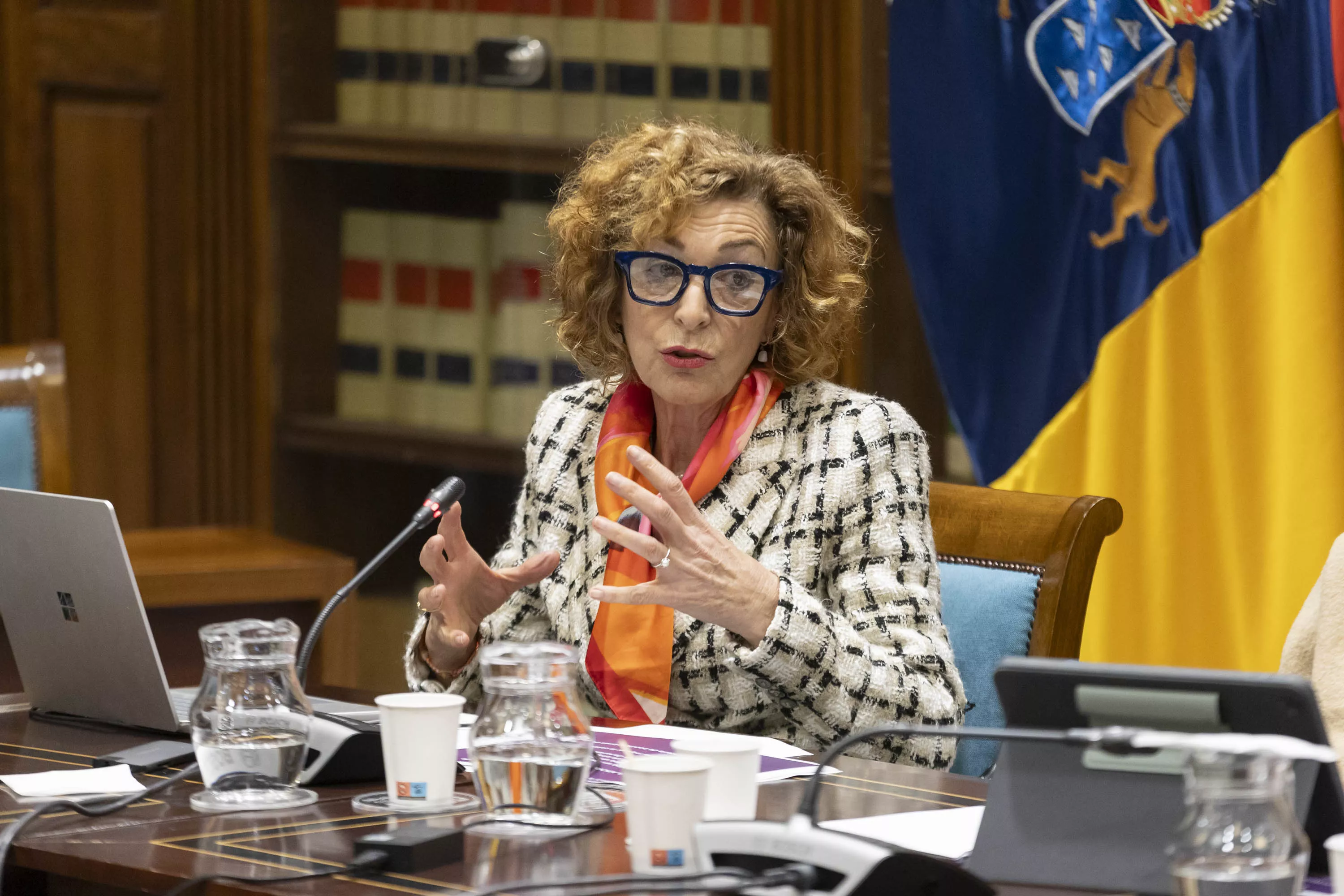 La catedrática de Derecho del Trabajo y de la Seguridad Social, Margarita Ramos, ha comparecido en la comisión parlamentario que analiza la revisión del Régimen Económico Fiscal. / MIGUEL BARRETO-EFE