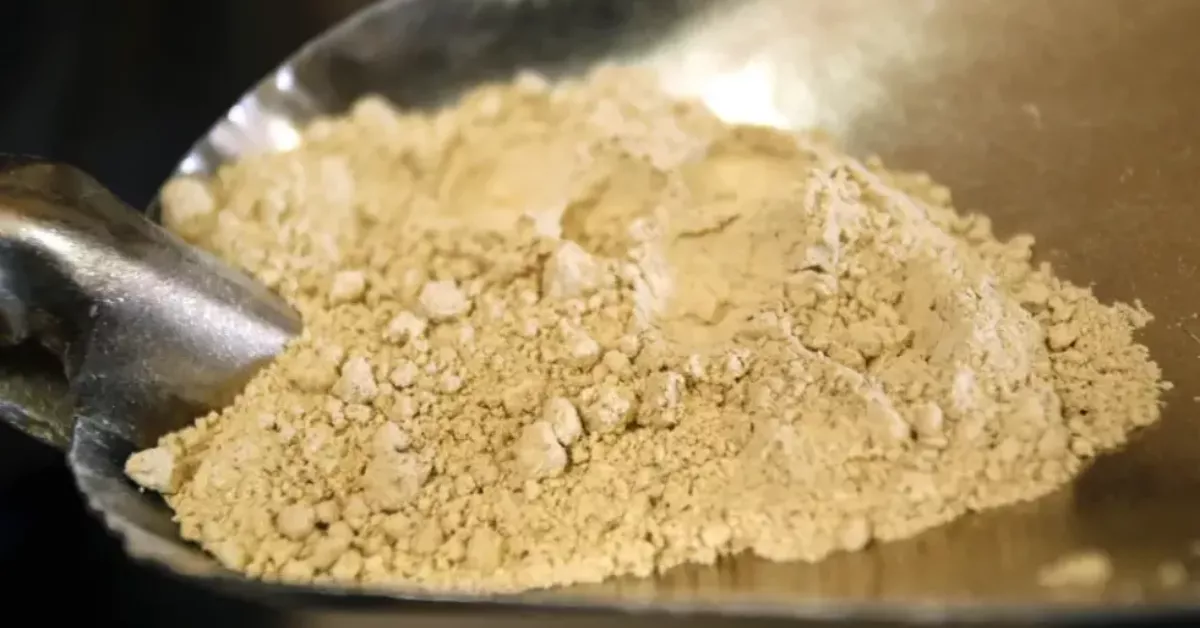 Foto de archivo de una cucharada de gofio / EFE - CRISTÓBAL GARCÍA