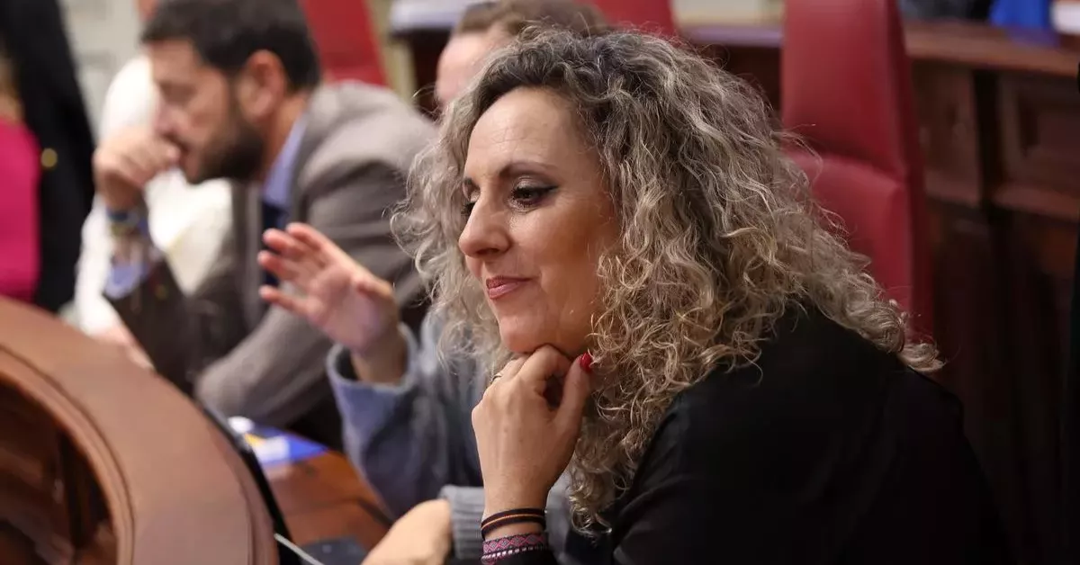 Marta Gómez en el Parlamento de Canarias / FLICKR PARLAMENTO