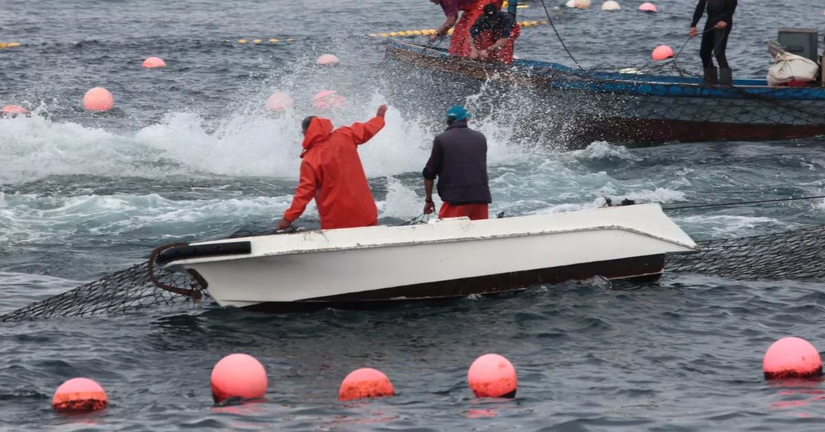 Los pescadores canarios, tocados y hundidos: un tercio de la flota está en bancarrota./ ARCHIVO