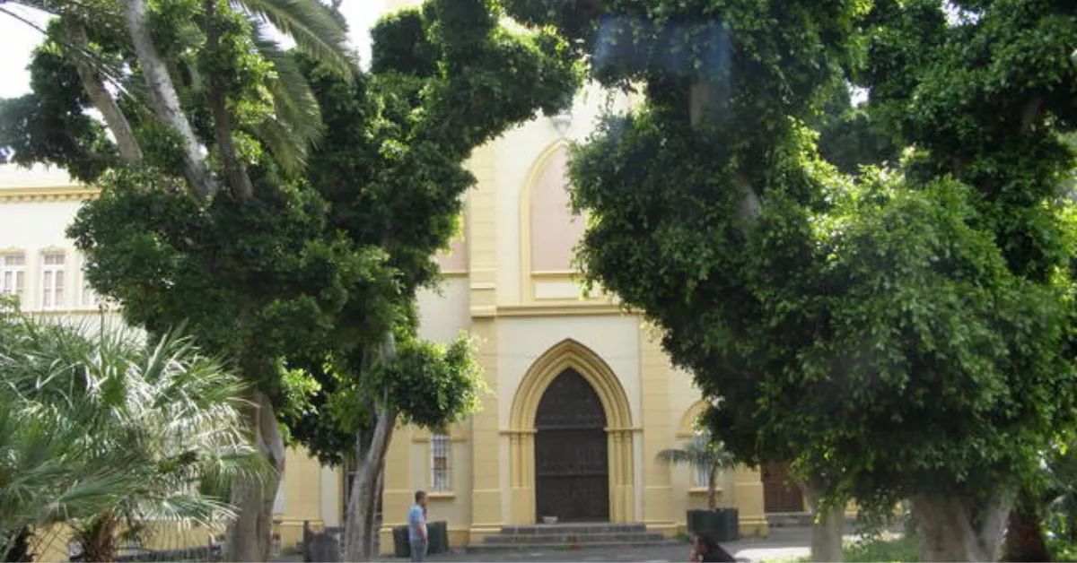 Espacio Viera y Clavijo / AYUNTAMIENTO DE SANTA CRUZ DE TENERIFE