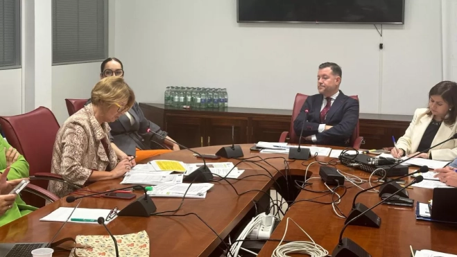 Teodoro Sosa y Pepa Luzardo durante la comisión / AH