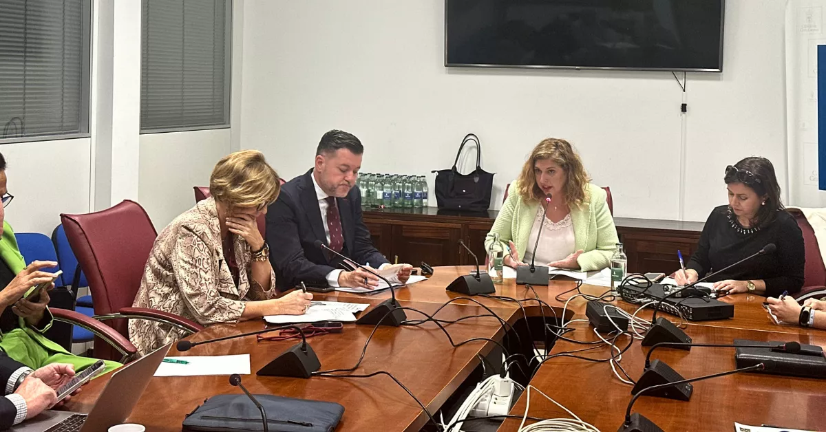 Isabel Mena y Pepa Luzardo durante la comisión / AH