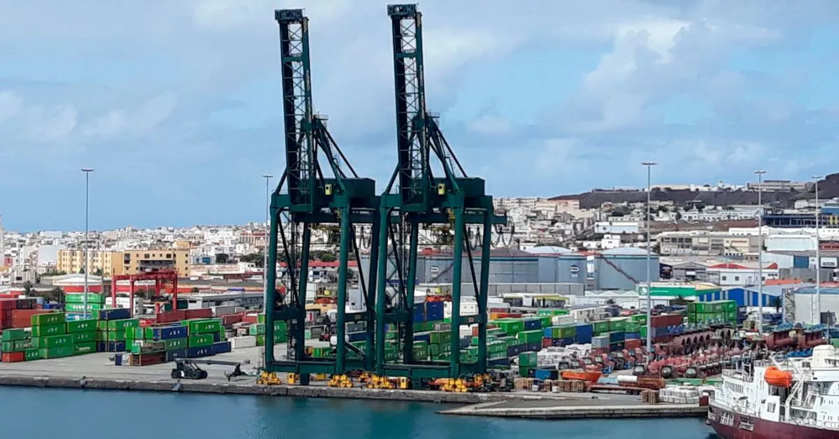 La terminal de Gesport en el Puerto de Las Palmas que ha adquirido Grupo Romeu. / AH