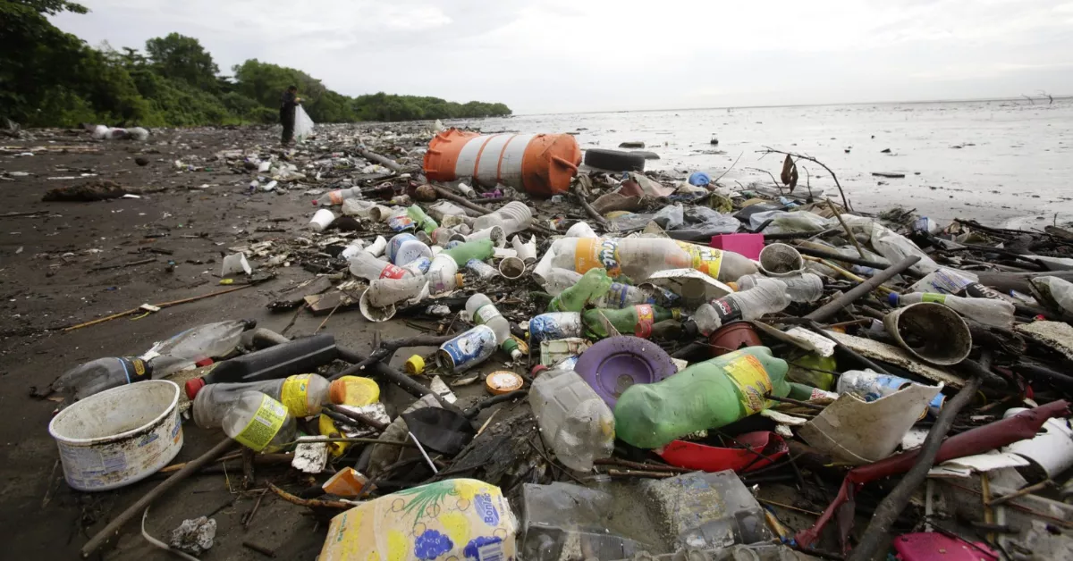 Imagen de basura marina / EFE