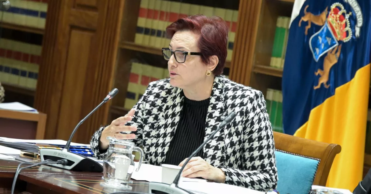 La consejera Candelaria Delgado durante una comisión / GOBIERNO DE CANARIAS