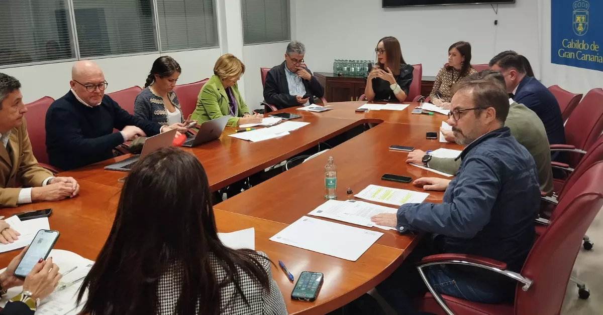 Momento de la Comisión en el Cabildo de Gran Canaria / PP