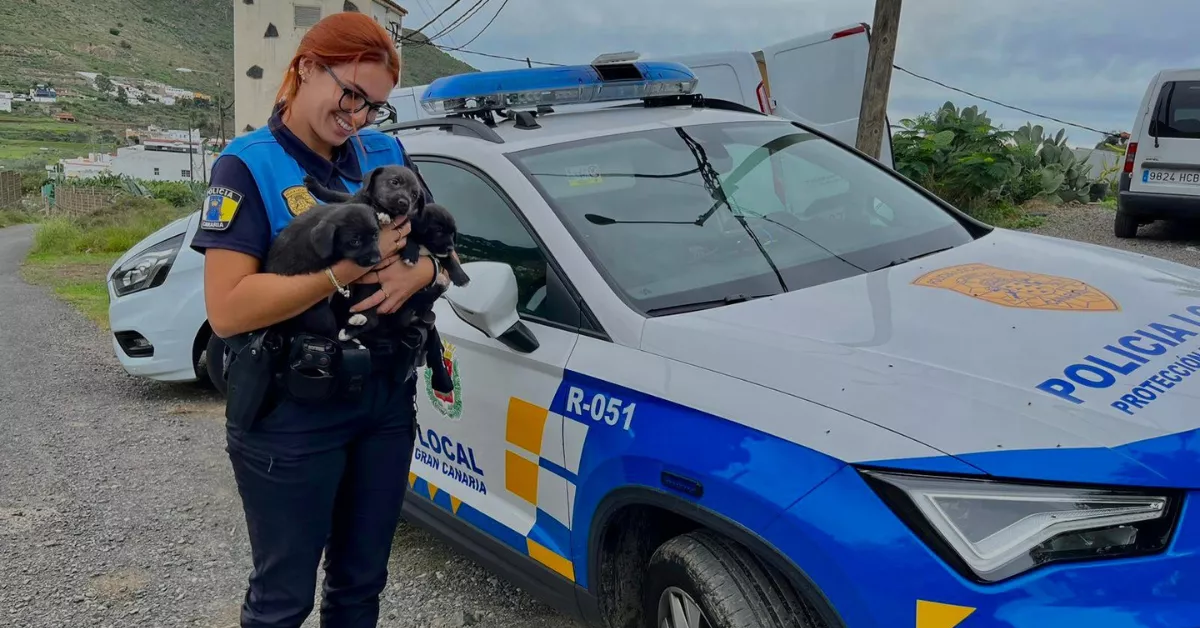 Una agente de la Policía Local de Las Palmas con perros rescatados / AYUNTAMIENTO DE LAS PALMAS