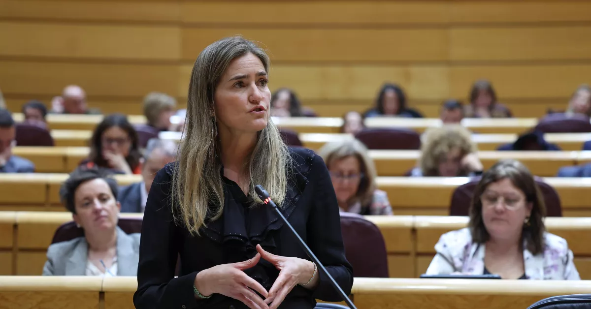 La ministra para la Transición Ecológica, Sara Aagesen interviene desde su escaño durante el Pleno celebrado en el Senado este martes. / EFE - Kiko Huesca