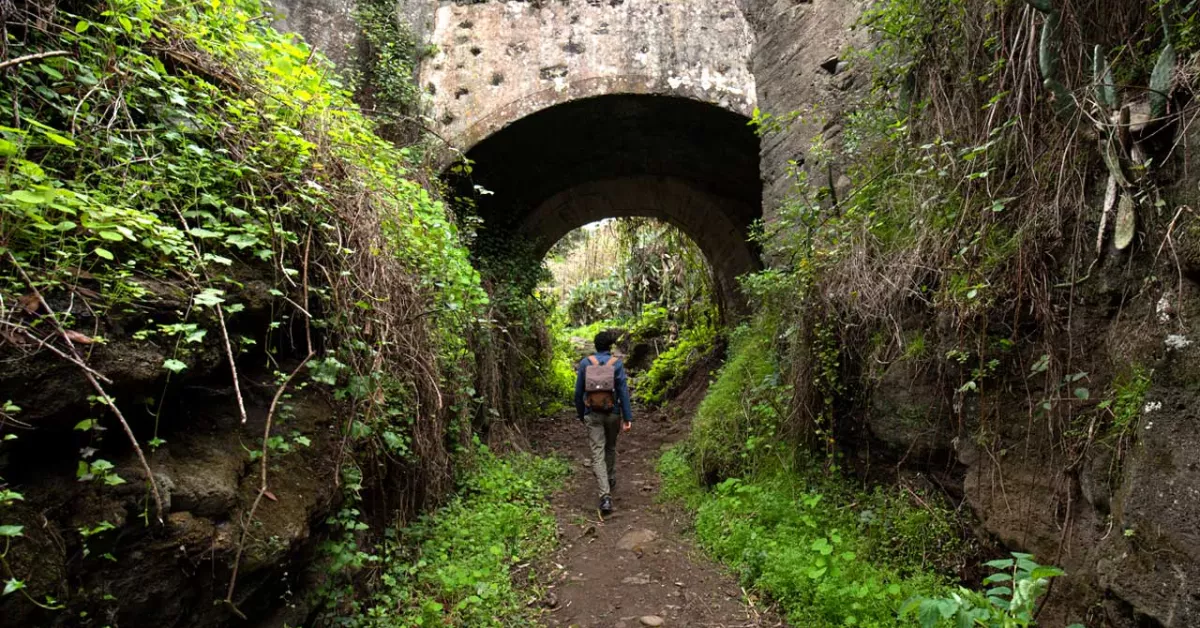 Sendero del Barranco del Álamo / CABILDO DE GRAN CANARIA