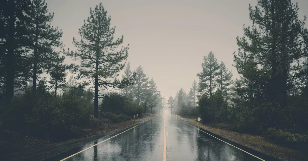 Imagen de una carretera helada / PEXELS 