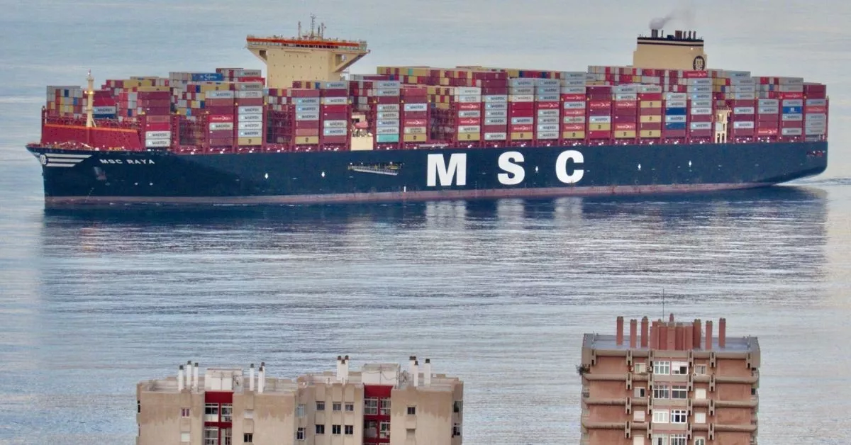El 'MSC Raya', que está a la cabeza de los portacontenedores más grandes del mundo, llega a la bahía de Las Palmas de Gran Canaria para entrar a puerto. / NICOLÁS AROCHA
