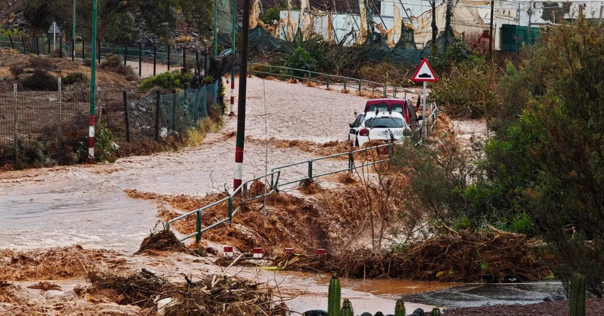 Imagen del barranco de Ojos de Garza tras las lluvias de marzo. / EFE - ÁNGEL MEDINA G.