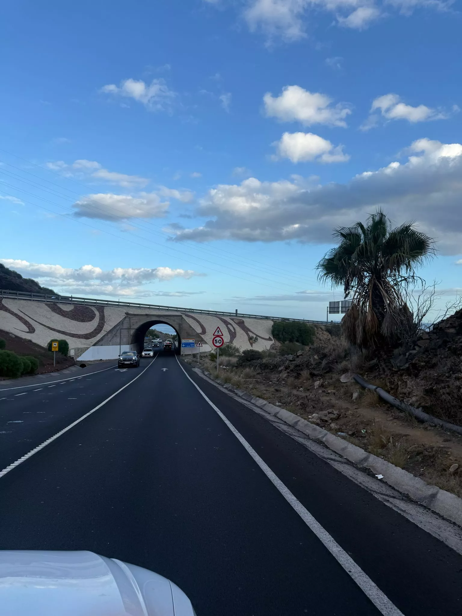 Imagen de la TF-61, antes de llegar al túnel del Puertito de Güímar. / ATLÁNTICO HOY