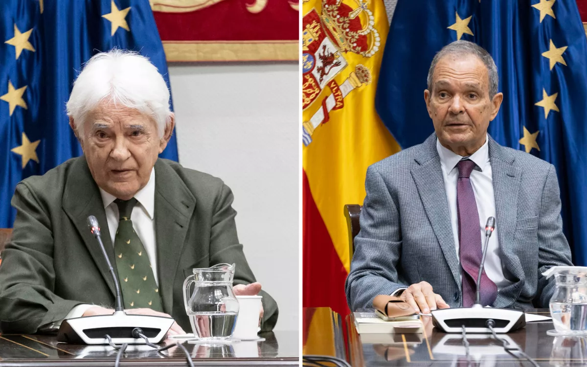 Los expertos del comité científico del Gobierno canario, Antonio Sierra y José Ángel García, niegan vínculos con la compra de mascarillas. / MIGUEL BARRETO-EFE