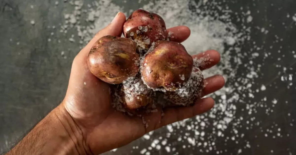 Papas preparadas para ser arrugadas / EL SECRETO DE CHIMICHE