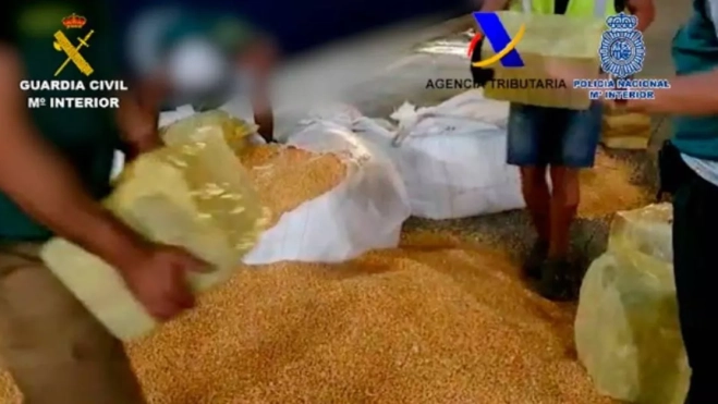 Agentes de la Guardia Civil y de Vigilancia Aduanero buscan la cocaína entre el millo que transportada el buque 'Unispirti', con escala en el Puerto de La Luz y de Las Palmas tras zarpar de Brasil. / AH