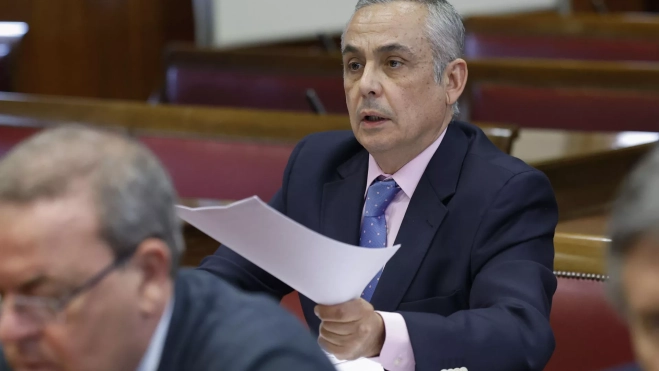 Ángel Pelayo Gordillo, senador de Vox, se dirige a Ángel Víctor Torres. / MARISCAL-EFE Ángel Pelayo Gordillo, senador de Vox, se dirige a Ángel Víctor Torres. / MARISCAL-EFE